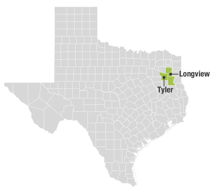 20190120_local_DallasFed_graphic_1